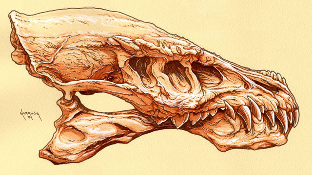 Dragon Skull Hand Colored Print 01