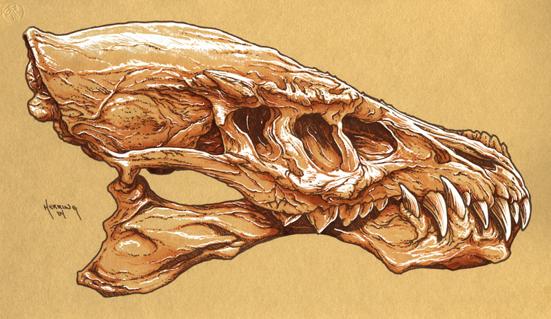 Dragon Skull Hand Colored Print 02